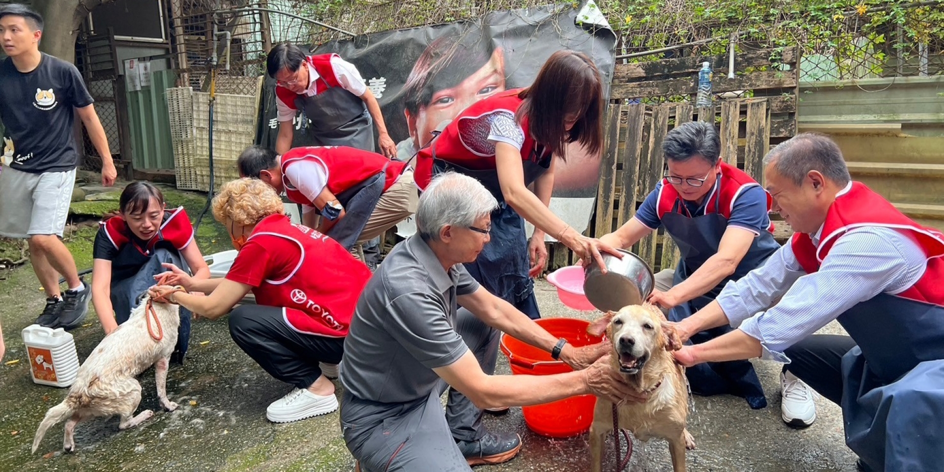 病老犬貓過好年！國都汽車百萬善款挹注飼料醫療費用